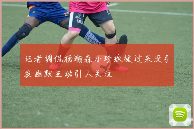 记者调侃杨瀚森小珍珠缓过来没引发幽默互动引人关注