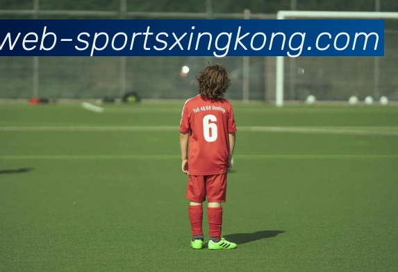 星空体育APP 封面图